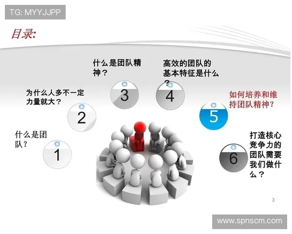 杭州排球队个人能力提升与团队协作的完美结合探讨